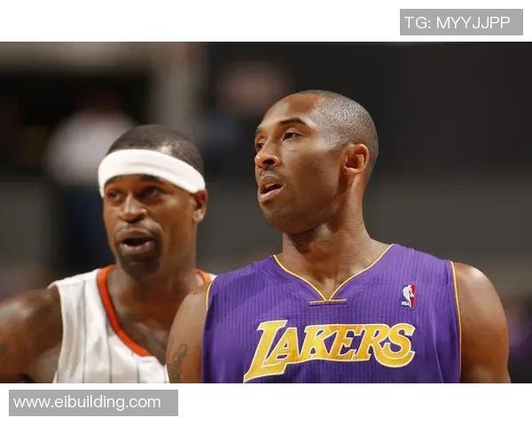 湖人对阵山猫精彩直播回放全程回顾与分析尽在此处